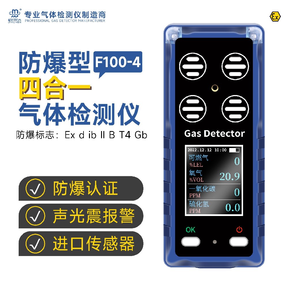 复合式气体检测报警仪